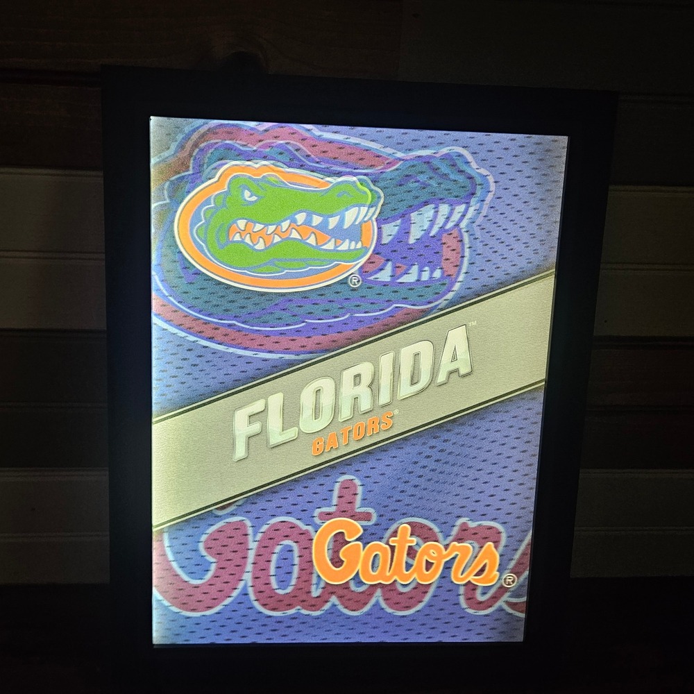 Florida Gators 3D LED Light Up Wall Art Sign Framed Fan Cave Decor 13x17